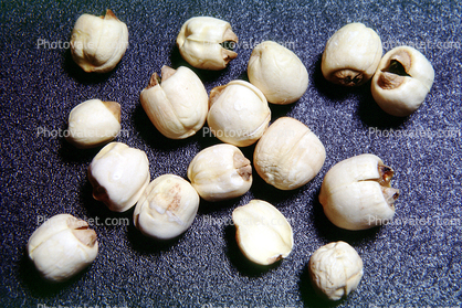 Leechee nuts