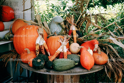 Pumpkins, autumn