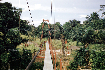 Bridge, Hills, Forest, Water Pipeline, Africa