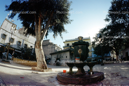 Town, Water Fountain, aquatics, buildings, tree, Algiers, Algeria