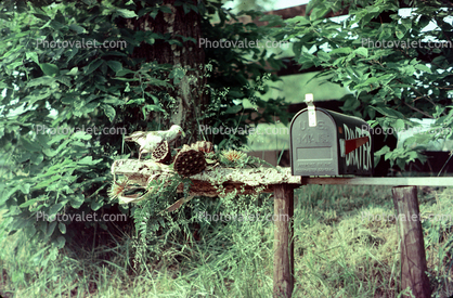 Mailbox, mail box