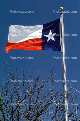 State Flag, Fifty State Flags