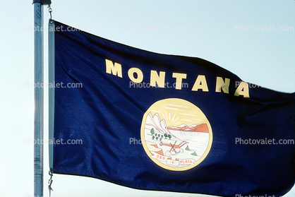 Montana, State Flag, Fifty State Flags