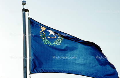 Nevada State Flag, Fifty State Flags