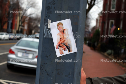 Donald Chump with a teenie weenie, Protest Poster, Trump Inauguration Day