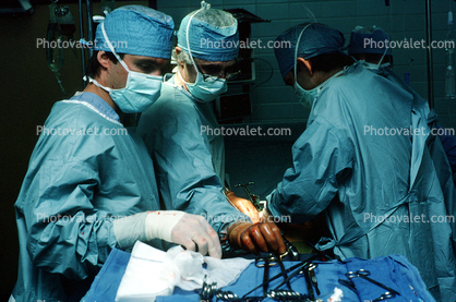 Operating Room, Doctor, Surgery, Surgeon, nurse, patient, surgical gloves