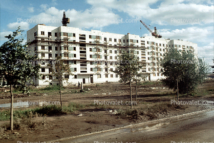 apartment building, crane in Moscow, trees