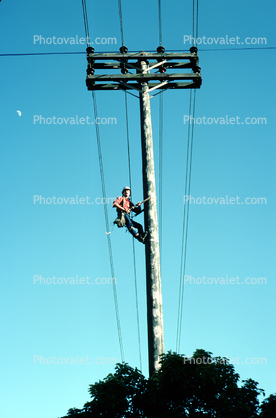 Lineman, Worker, Pole