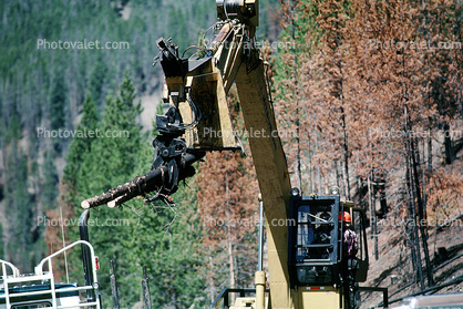 Crane, clearing out burned trees from the great fire