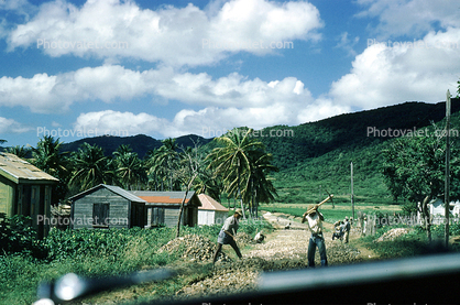 Martinique, 1950s