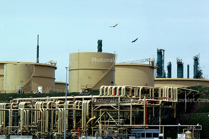 Oil Storage Tanks, Pinole