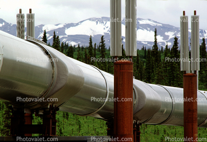 Alaska Pipeline