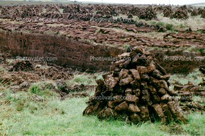 Peat Moss, Bogs, peatland, Peatmoss, Production, harvesting