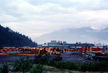 Logging Yard, near Vancouver, Canada