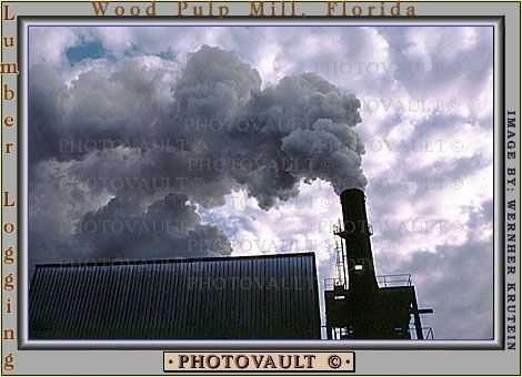 Wood Pulp Mill, Florida