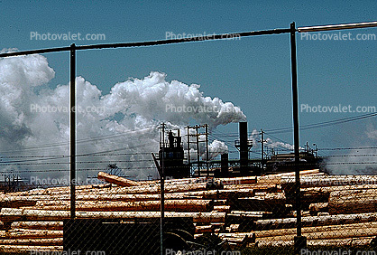 Wood Pulp Mill, Mendocino County, California