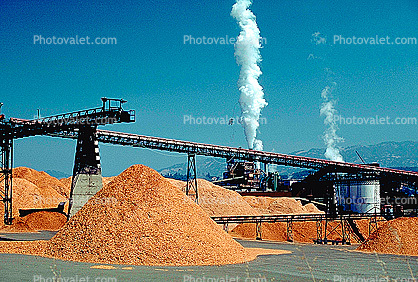 Copnveyer Belts, Would Chip Piles, Ukiah, 5 September 1987