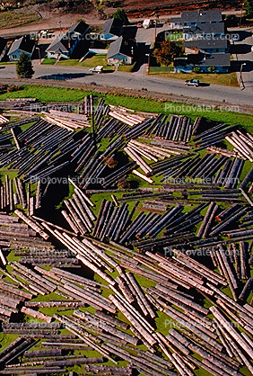 Lumber Mill, log rafts, homes, houses, buildings, Humboldt County