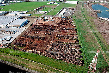 Logs, log stacks, Lumber Mill, warehouse, Humboldt County