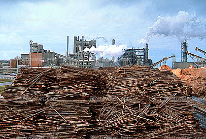 crane, Smoke, Air Pollution, soot, Pulp Mill, sawdust mounds, building