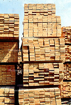 Stacks of Wood