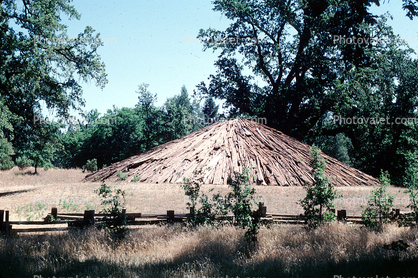 Log Cone, Pyramid