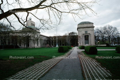 MIT, campus, buildings, path, walkway