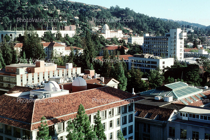 UCB, University of California, Berkeley