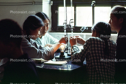 Women, lab, light bulb, females, laboratory, 1950s