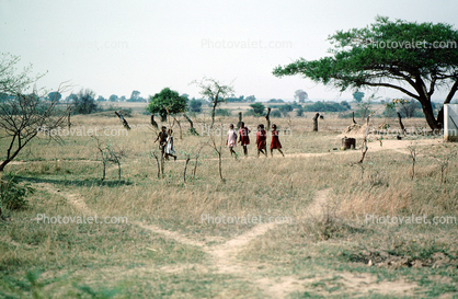 Paths, children, desert, trees, Madzongwe
