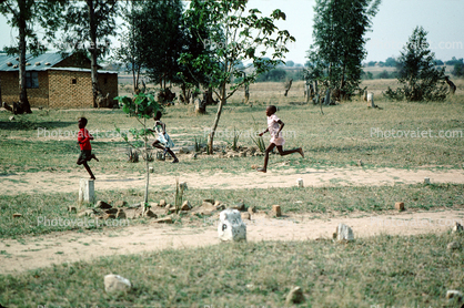 Paths, children, desert, trees, running, Madzongwe