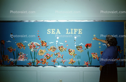 Sea Life, aquarium, water, mural, Classroom, 1960s