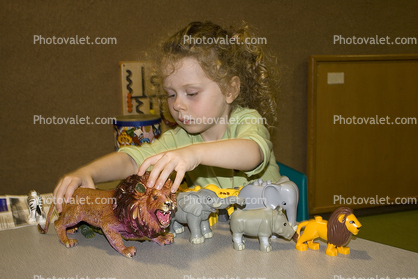 toy animals, hands-on exhibit, touch