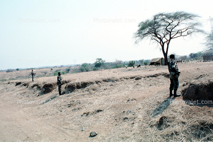 Regulars, Guns, Rifles, Dirt, soil