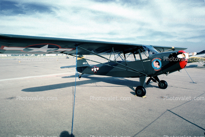 N3113S, Looking for Trouble, noseart