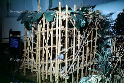 Prisoner Cage to Hold American Pilots shot down over North Vietnam, bamboo prison, POW, Vietnam War