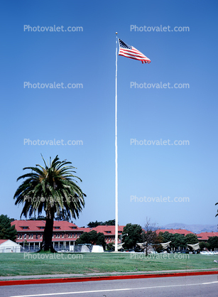 Palm Tree, Barracks, Home of the Sixth US Army