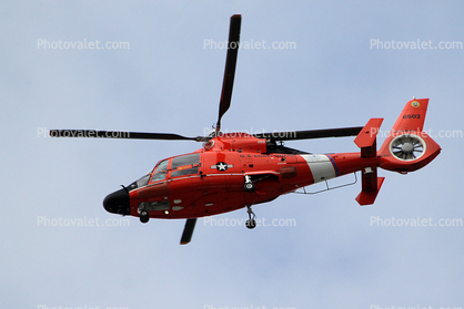 MH-65C Dolphin, (Dauphine), 6502, USCG