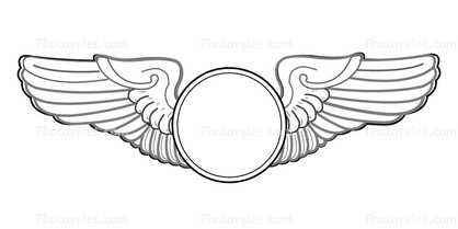Air Force Wings, Abstract