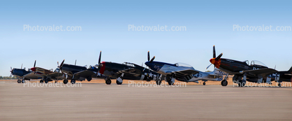 WW2 Warbirds, line-up, P-51D, P-47, P-40