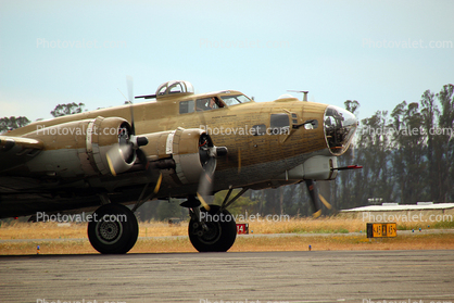 B-17G, 42-31909