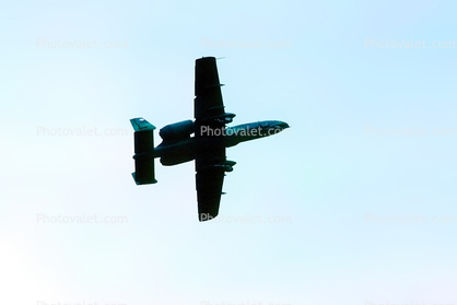 A-10 Thunderbolt Warthog, Abbotsford Airport