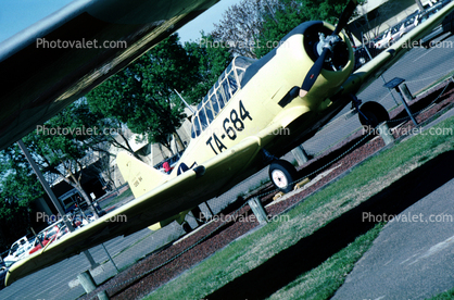 T-6 Texan, TA-684