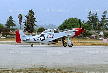 XQP, North American P-51D Mustang, tailwheel, Roundel