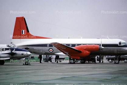 XS789, Hawker Siddeley HS-748 Andover, RAF, Royal Air Force, Roundel