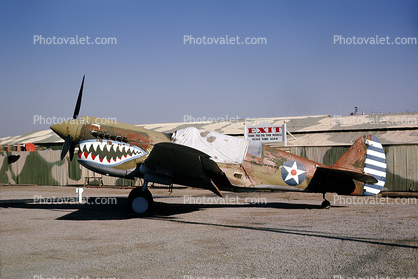 Curtiss P-40 Warhawk, Roundel