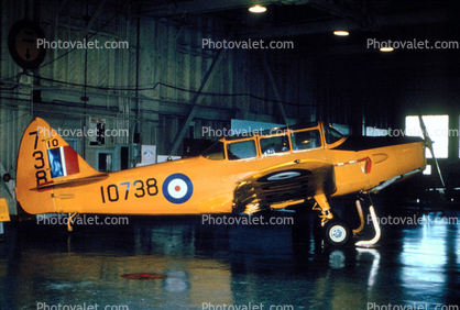 10738, Fairchild PT-19, Trainer Aircraft, Airplane, Plane, Prop, Roundel