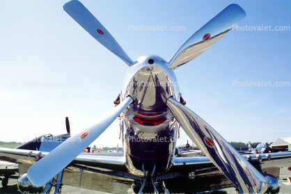 Propeller, Spinner, Chrome,  P-51D Mustang