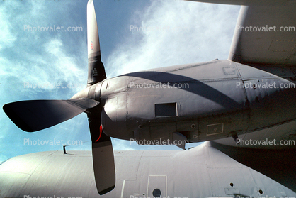Lockheed C-130 Hercules Turboprop, propeller, prop