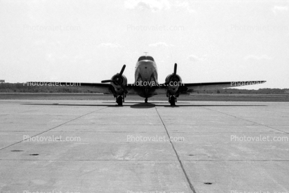 Douglas C-47 Skytrain, Chuting Stars, head-on, US Navy Parachute Team, 1950s